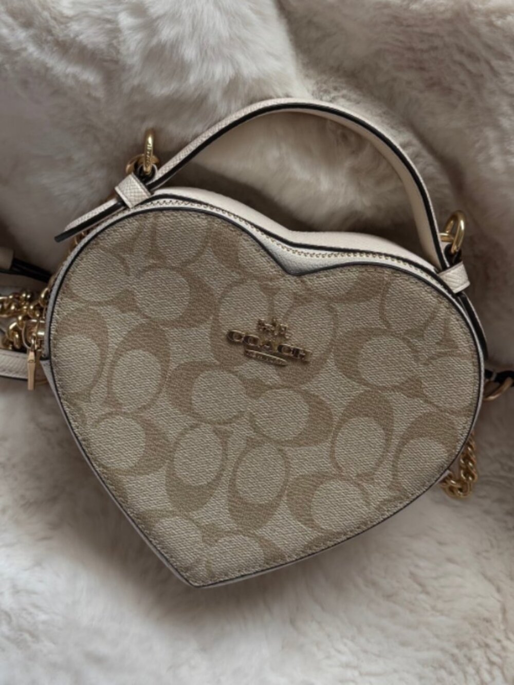 Coach Heart Crossbody Bag in Signature Canvas (Authentic)